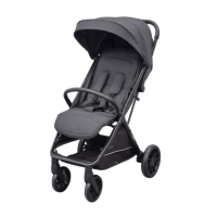 Детская коляска  CARRELLO  Nero  CRL-5514   Slate Grey